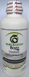 QUELAGROW BORO